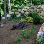mulch and rocks